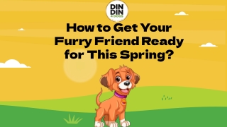 How to Get Your Furry Friend Ready for This Spring ?