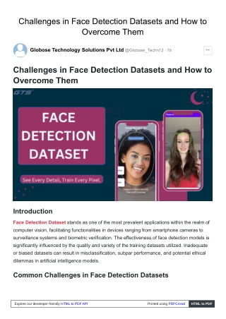 Challenges in Face Detection Datasets and How to Overcome Them