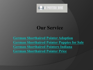 adoption process ensures