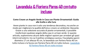 Lavandula & Fioriera Paros 40 cm tutto incluso