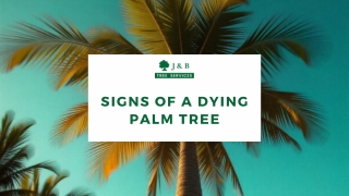 Signs of a dying Palm Tree