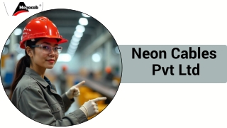 Neon Cables Pvt Ltd PPT