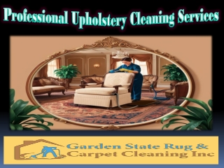 Professional Upholstery Cleaning Services