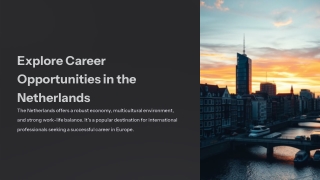 Explore-Career-Opportunities-in-the-Netherlands