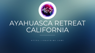 Ayahuasca Retreat California