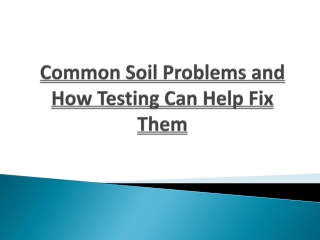 Common Soil Problems and How Testing Can Help Fix Them
