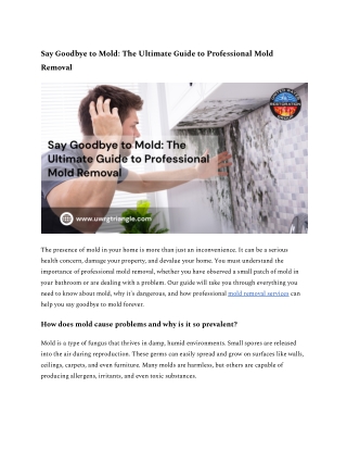 Say Goodbye to Mold_ The Ultimate Guide to Professional Mold Removal