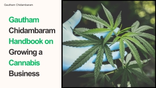 Gautham Chidambaram’s Million-dollar Strategy for Cannabis Businesses