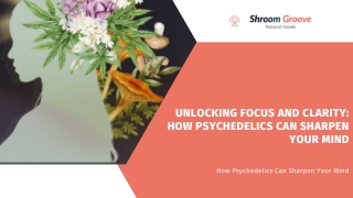 How Psychedelics Can Sharpen Your Mind