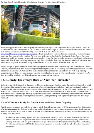 Remove Pet Dog Urine Odors & Spots