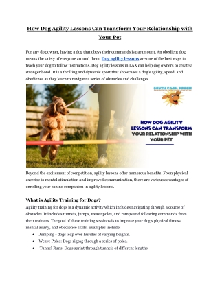 How Dog Agility Lessons Can Transform Your Relationship with Your Pet