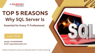 Top 5 Reasons Why SQL Server Is Essential Every IT Professional