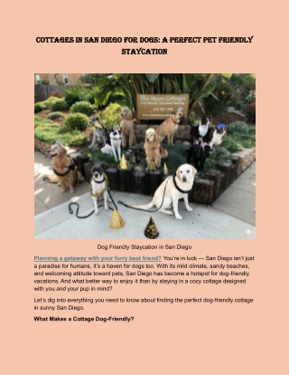 Cottages in San Diego for Dogs A Perfect Pet Friendly Staycation
