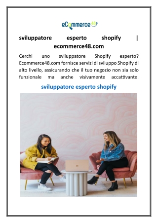 sviluppatore esperto shopify  ecommerce48.com