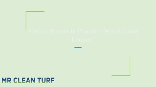 Turf vs. Pavers in Phoenix: Which Lasts Longer?