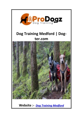 Dog Training Medford  Dog-ter.com