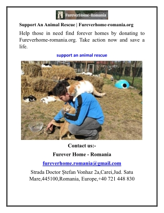 Support An Animal Rescue Fureverhome-romania.org