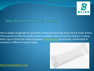 Velo Nicotine Pouches Canada