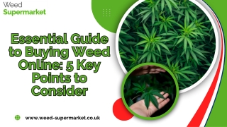 Essential Guide to Buying Weed Online 5 Key Points to Consider (2)