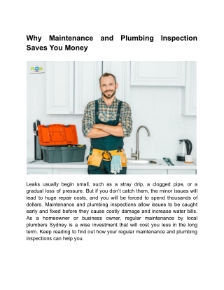 Why Maintenance and Plumbing Inspection Saves You Money