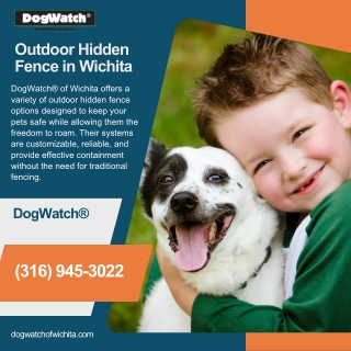 Outdoor Hidden Fence in Wichita  Dog Watch Wichita