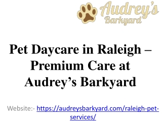 Pet Daycare in Raleigh – Premium Care at Audrey’s Barkyard