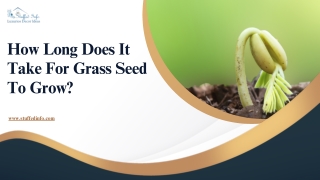 How Long Does It Take For Grass Seed To Grow
