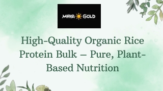High-Quality Organic Rice Protein Bulk – Pure, Plant-Based Nutrition
