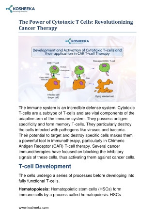 The Power of Cytotoxic T Cells: Revolutionizing Cancer Therapy