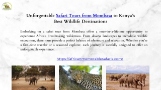 Unforgettable Safari Tours from Mombasa to Kenya’s Best Wildlife Destinations