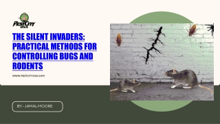 Winning the War Against Pests: A Complete Guide