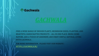 Gachwala Collection