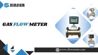 gas flow meter