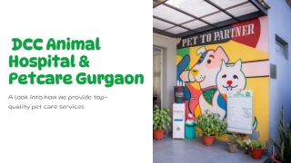 Best Petcare in Gurgaon