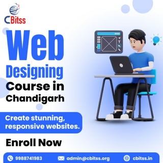 Best Web Designing Course in Chandigarh | Learn Web Design Today