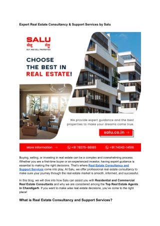 Expert Real Estate Consultancy & Support Services by Salu