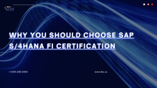 Why You Should Choose SAP S4HANA FI Certification