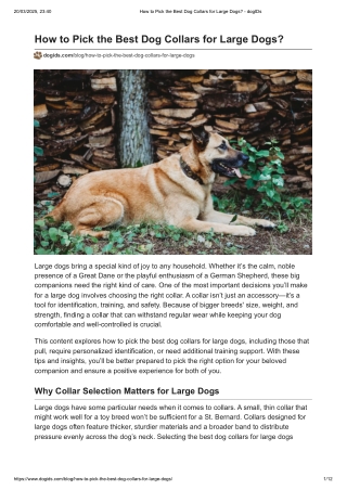 How to Pick the Best Dog Collars for Large Dogs_ - dogIDs