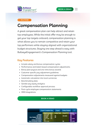 Compensation Planning Software