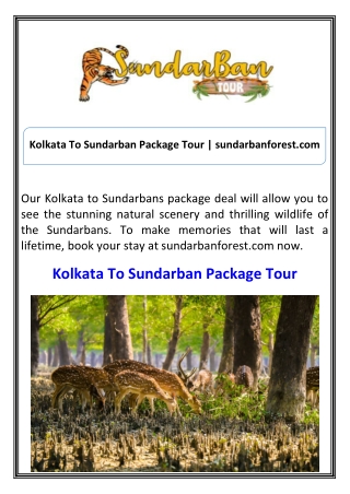 Kolkata To Sundarban Package Tour sundarbanforest.com