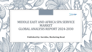 Middle East and Africa Spa Service Market Statistics, Top Players 2030