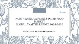 North America Freeze-Dried Food Market  Report Cover Market Size 2024-2030