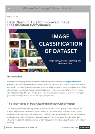 Data Cleaning Tips fogspot_com_2025_03_data_cleaning_tips_for_improv