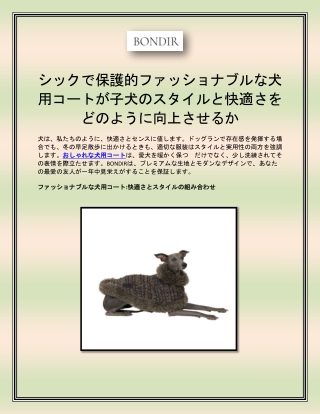 シックで保護的ファッショナブルな犬用コートが子犬のスタイルと快適さをどのように向上させるか