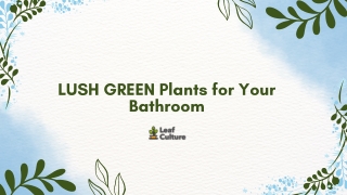 LUSH GREEN Plants for Your Bathroom