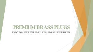 Premium Brass Plugs
