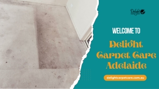 Get carpet cleaning services in Adelaide for a healthy space