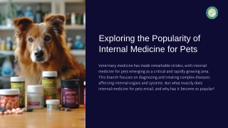Internal Medicine for Pets: A Vital Part of Modern Veterinary Care