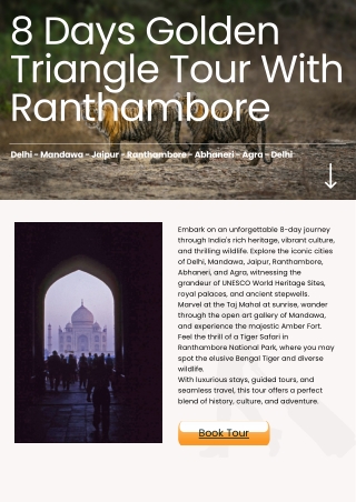 8 Days Golden Triangle Tour With Ranthambore