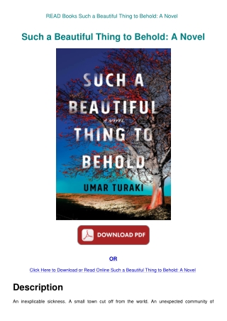 READ Books Such a Beautiful Thing to Behold A Novel